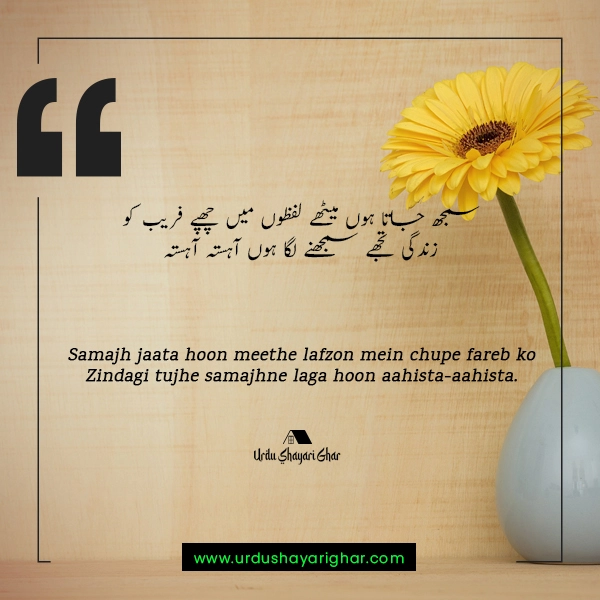 Amazing Poetry about Life in Urdu