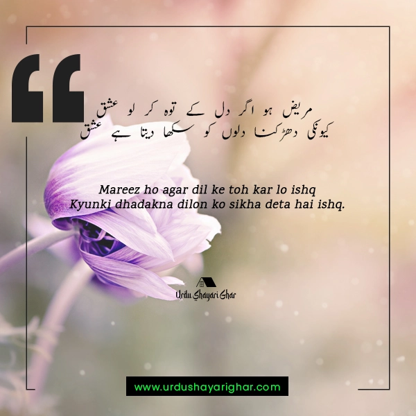 Ishq Urdu Poetry on Mohabbat