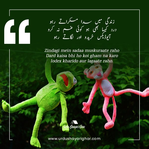 300+ Very Funny Poetry in Urdu for Friends with Pics | فنی