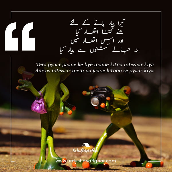 poetry funny in urdu