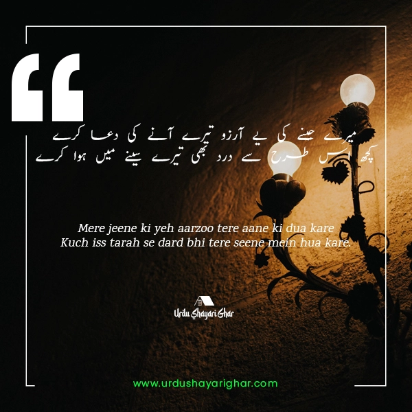 Poetry about Arzoo in Urdu