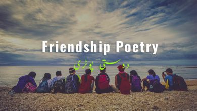 Friendship Poetry for Friends