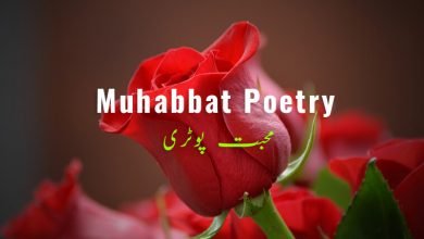 muhabbat poetry