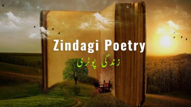 poetry about life in urdu
