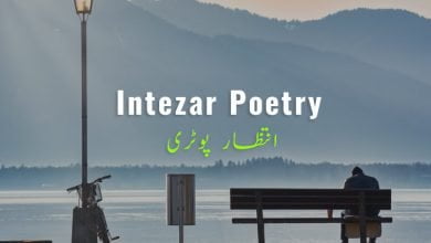 intezar poetry