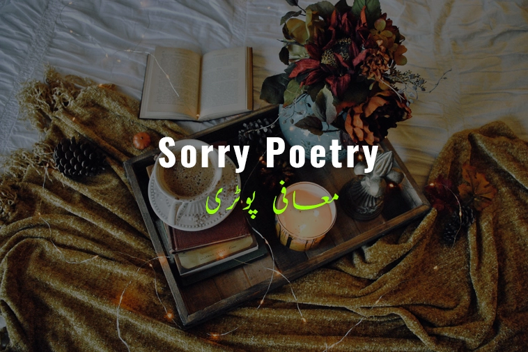 sorry urdu poetry