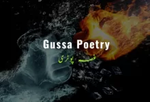 Angry Poetry in Urdu